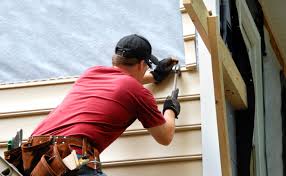 Best Storm Damage Siding Repair  in Oronoco, MN